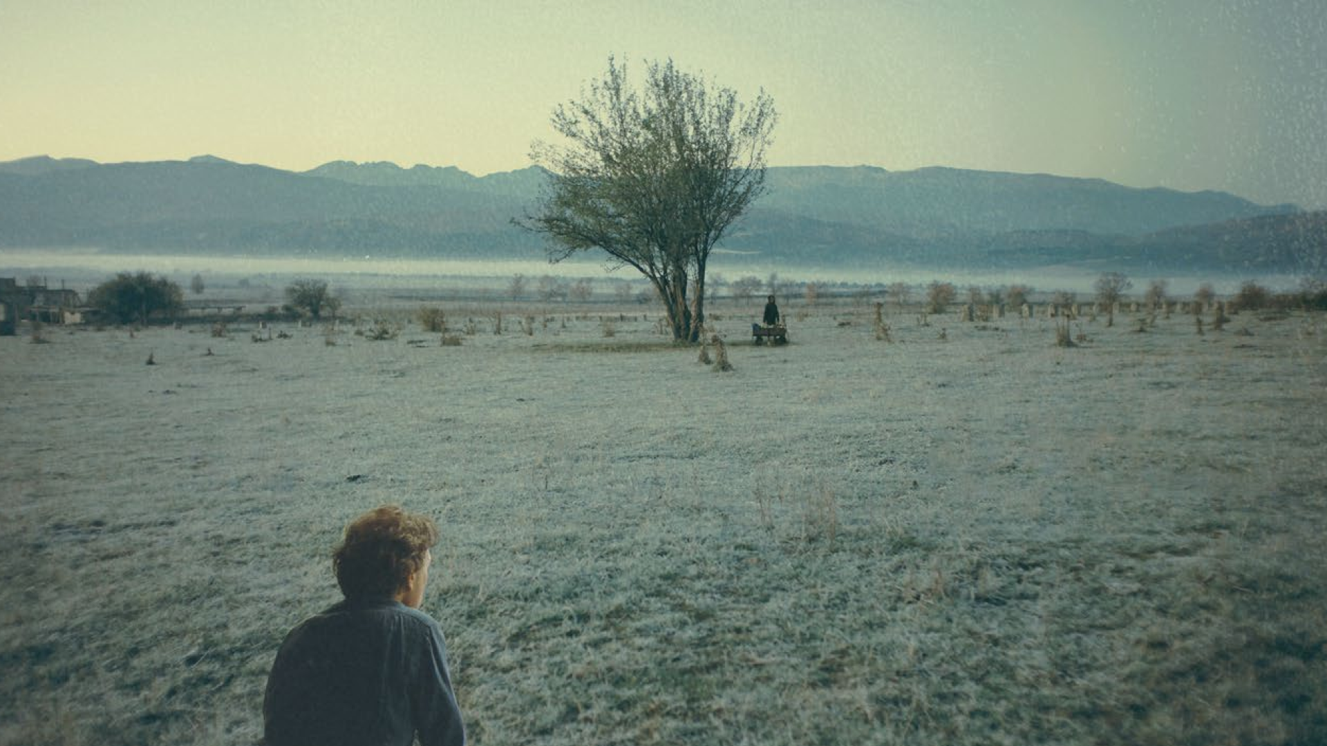 NINA ROZA OUVRIRA LA 44E ÉDITION DES RENDEZ-VOUS QUÉBEC CINÉMA