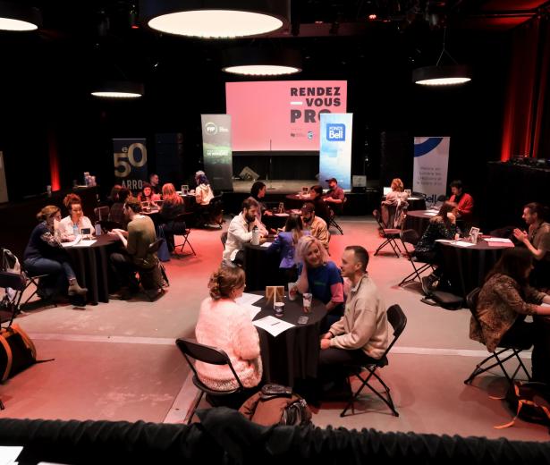 Pitchs de Séries Courtes