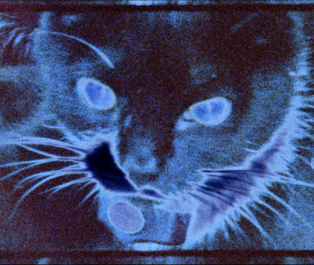 En pièces détachées